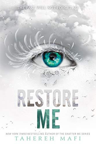 restore me book summary